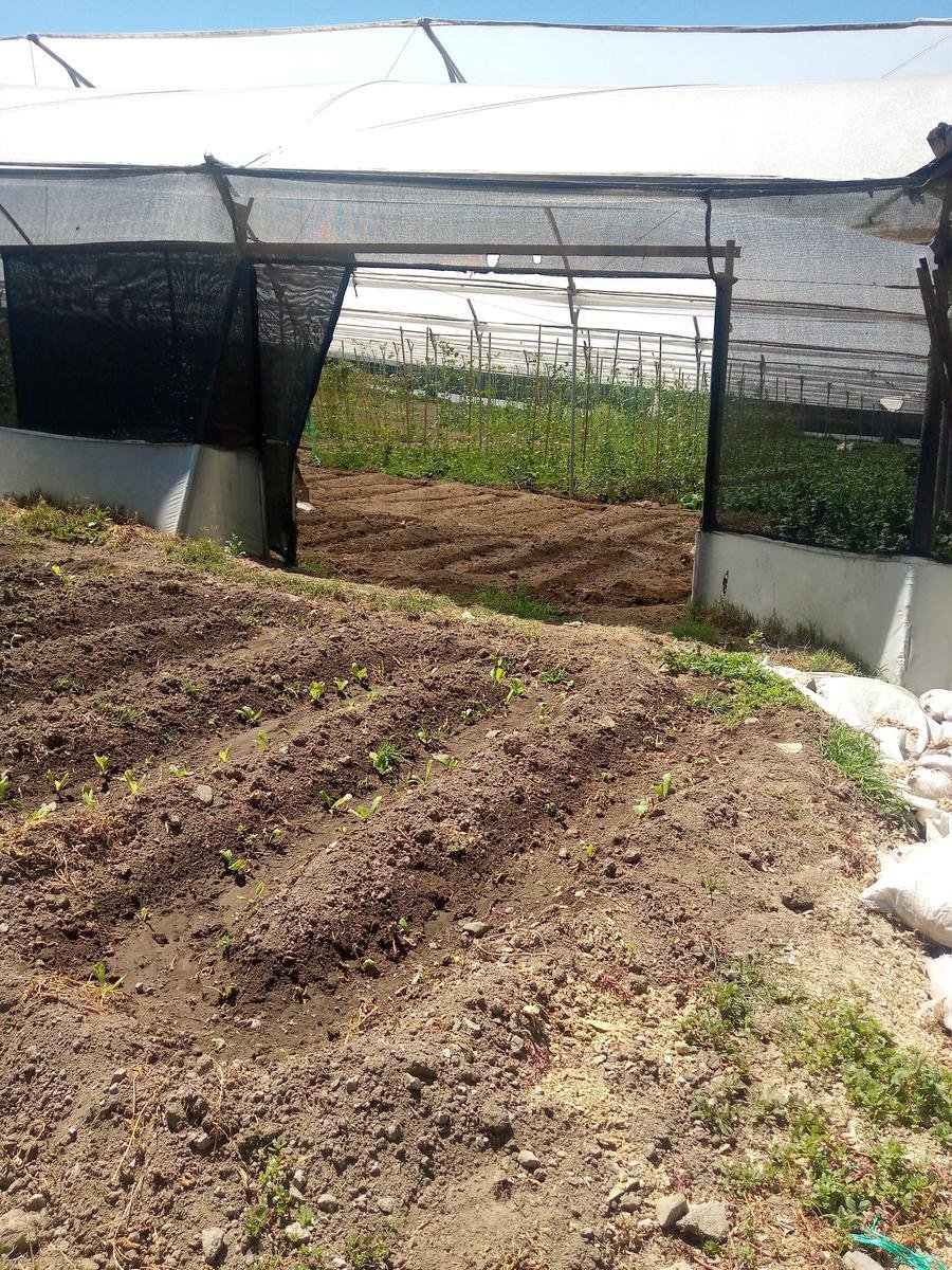 Land in Quito, Pichincha, Ecuador 4 - 18661496