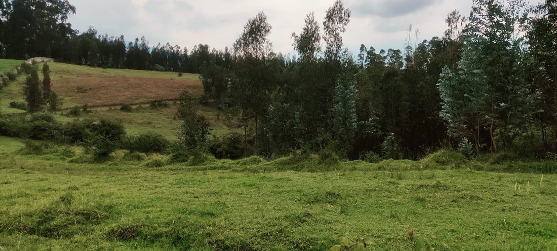 Land in Sangolqui, Pichincha, Ecuador 5 - 18661515