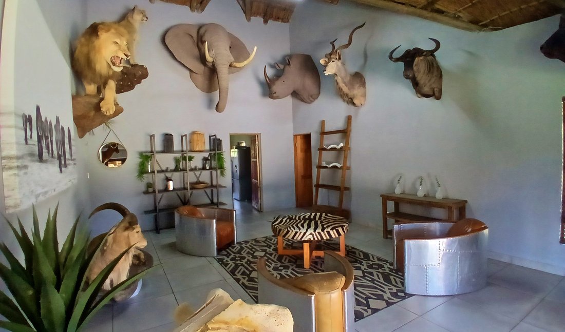 Farm Ranch in Modimolle Local Municipality, Limpopo, South Africa 4 - 18672773