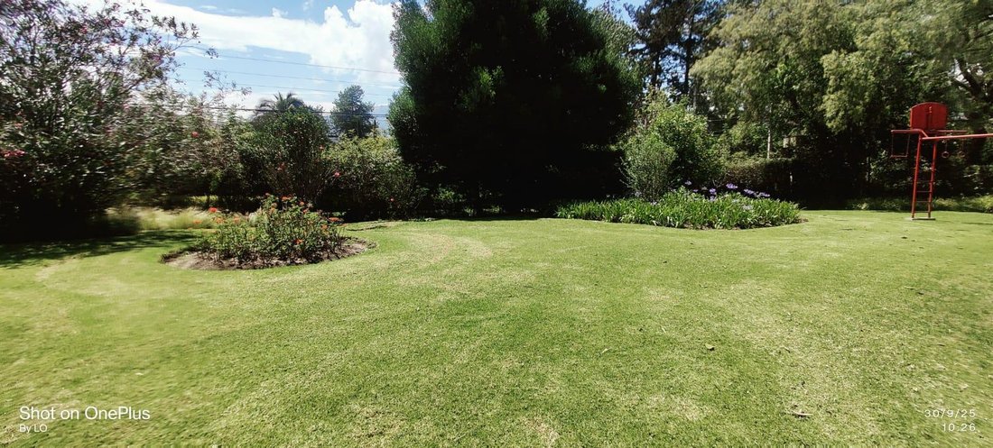 Land in Quito, Pichincha, Ecuador 4 - 18661531