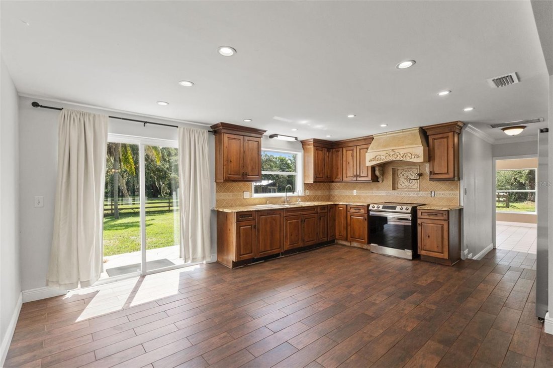 House in New Port Richey, Florida, United States 4 - 18659242