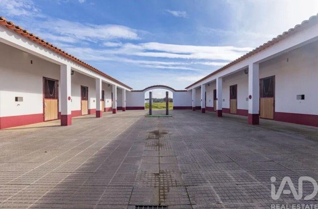Farm Ranch in Viana do Alentejo, Évora District, Portugal 5 - 18671038