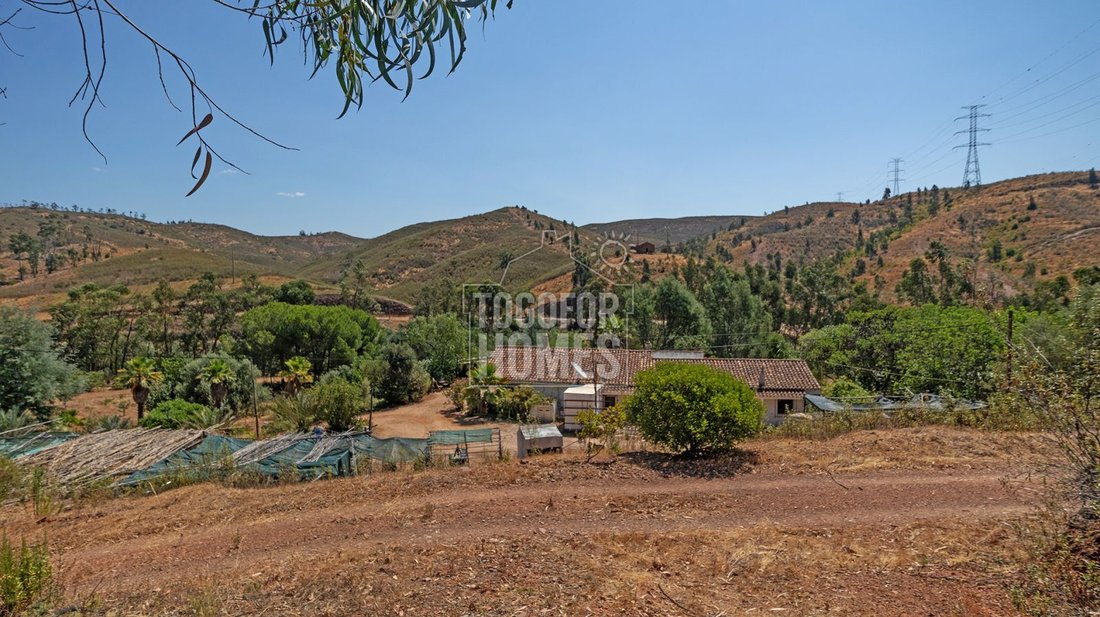 Villa in Faro (Se und Sao Pedro), Algarve, Portugal 1 - 14722845