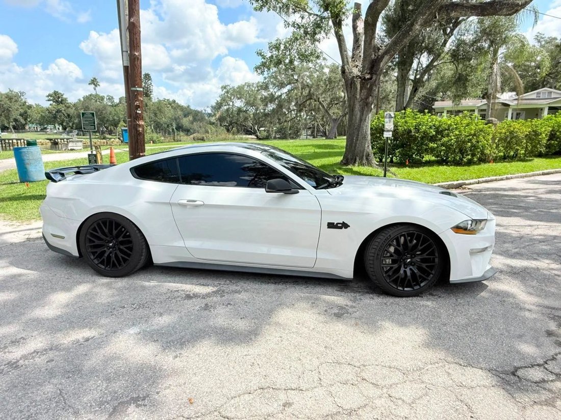 Coupe in Tampa, FL, United States 2 - 18664767