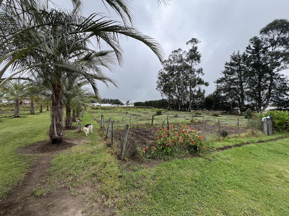 House in Quito, Pichincha, Ecuador 2 - 18660457