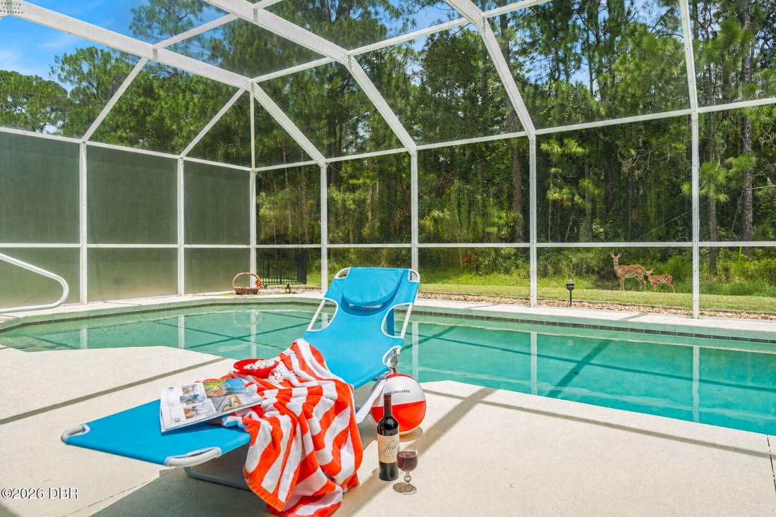House in Port Orange, Florida, United States 3 - 18664369