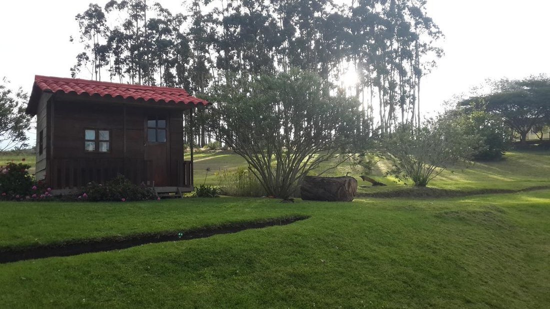 Land in Quito, Pichincha, Ecuador 4 - 18660658