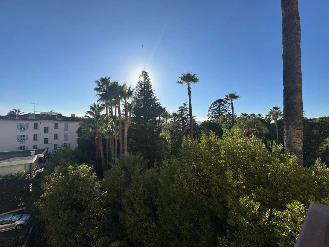Apartamento en Montfleury, Cannes, Francia 1 - 16906572