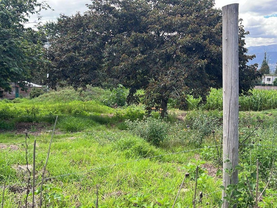 Land in Quito, Pichincha, Ecuador 4 - 18661666