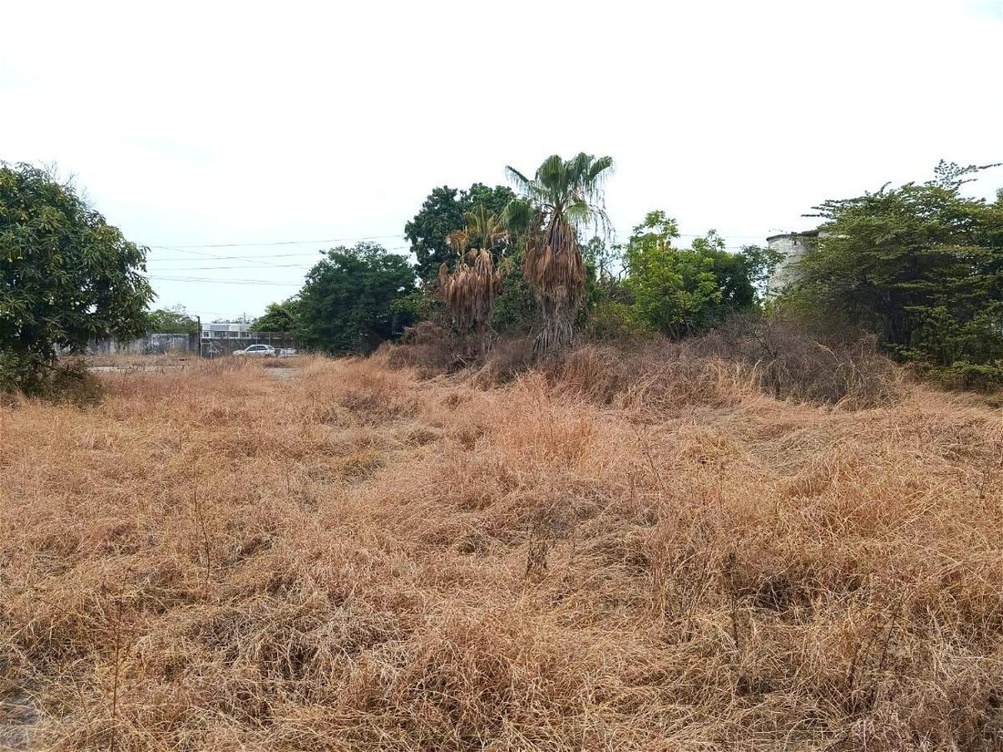 Land in Guayaquil, Guayas, Ecuador 4 - 18660158