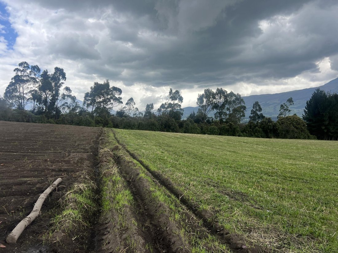 Land in Machachi, Pichincha, Ecuador 3 - 18661699