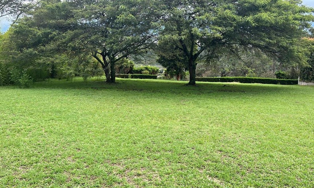 Land in Quito, Pichincha, Ecuador 2 - 18661627