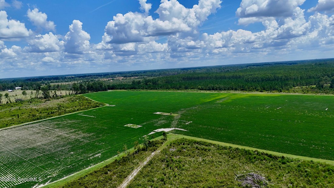 Farm Ranch in Alma, Georgia, United States 3 - 18663170