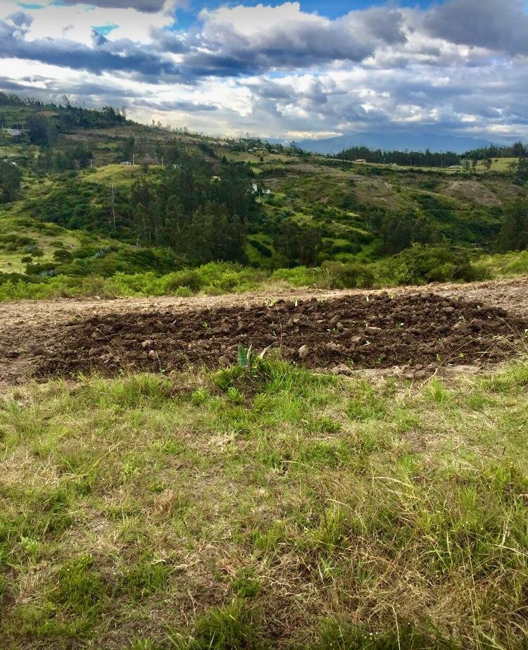 Land in Quito, Pichincha, Ecuador 2 - 18661499