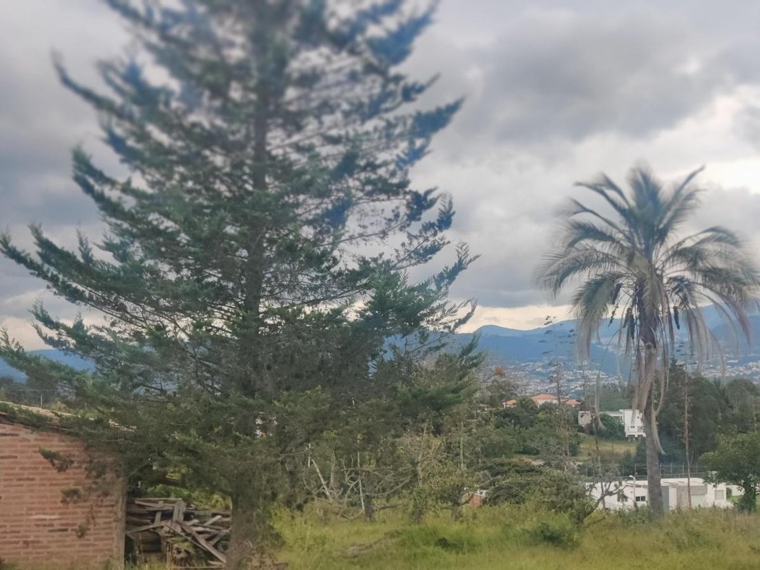 Land in Quito, Pichincha, Ecuador 2 - 18661431