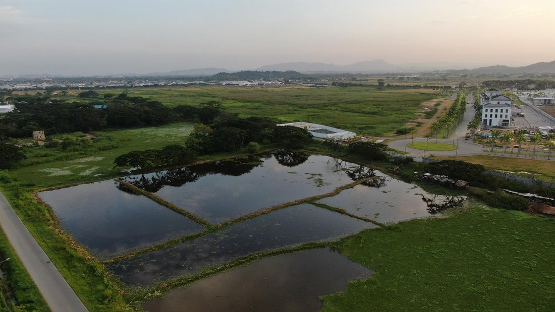 Land in Samborondón, Guayas, Ecuador 3 - 18660691