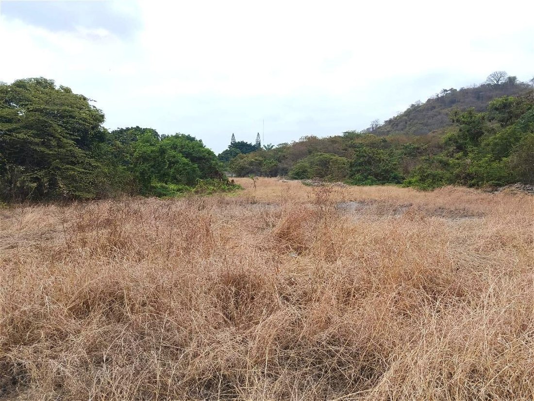 Land in Guayaquil, Guayas, Ecuador 1 - 18660158