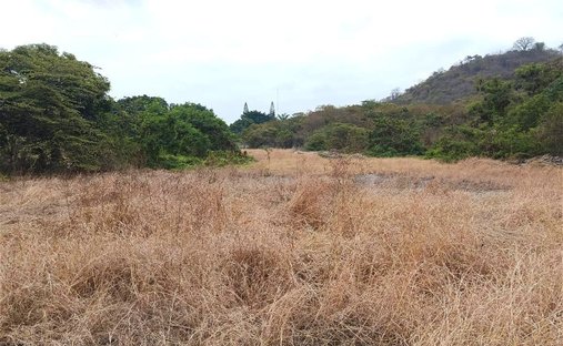 Land in Guayaquil, Provinz Guayas, Ecuador 1