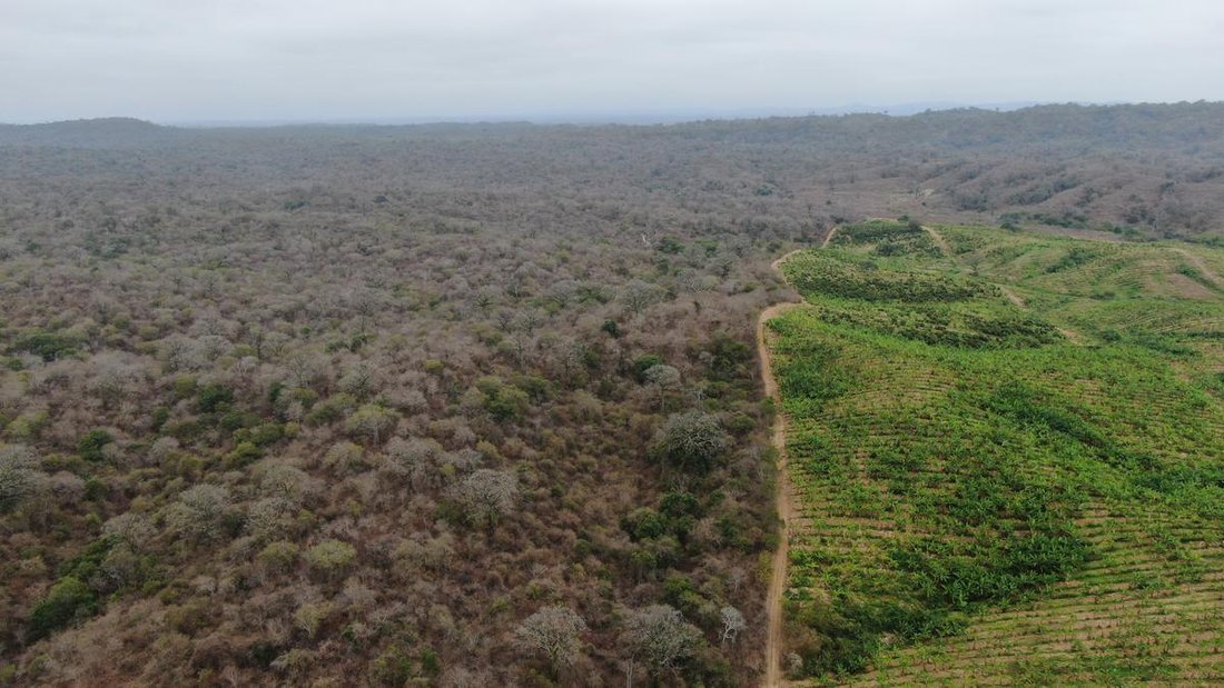 Land in G. Muñoz, Santa Elena, Ecuador 3 - 18660321