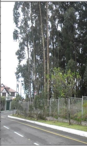 Land in Quito, Pichincha, Ecuador 4 - 18661545