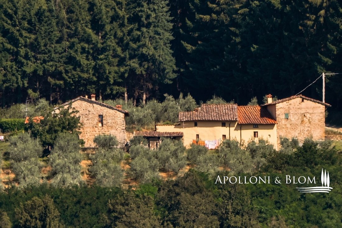 House in Pelago, Tuscany, Italy 3 - 16482112