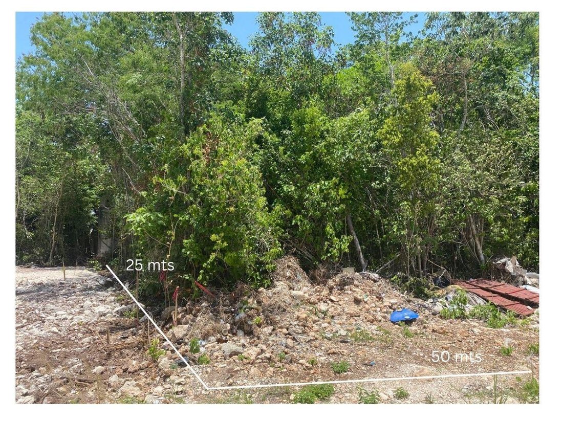Land in Cancún, Quintana Roo, Mexico 3 - 18660135