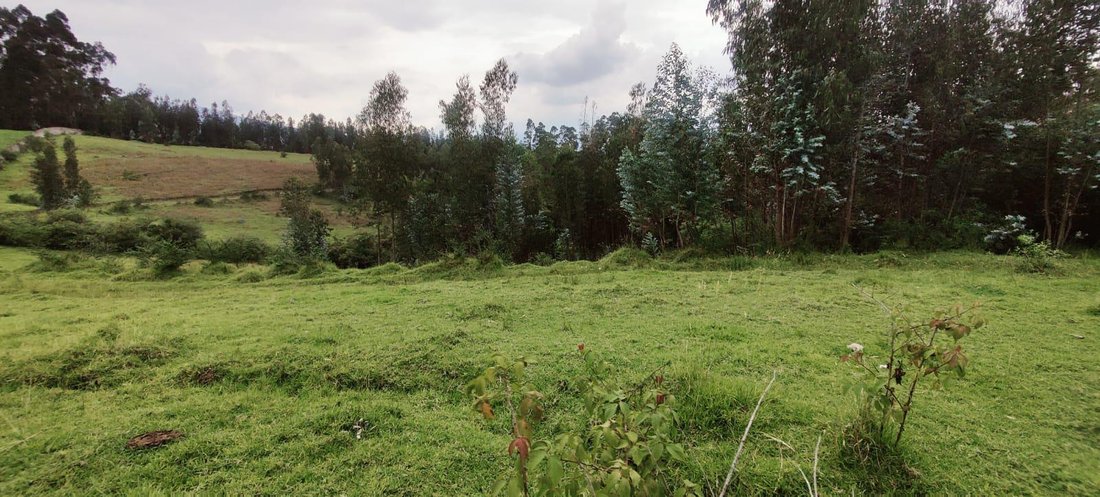 Land in Sangolqui, Pichincha, Ecuador 4 - 18661515