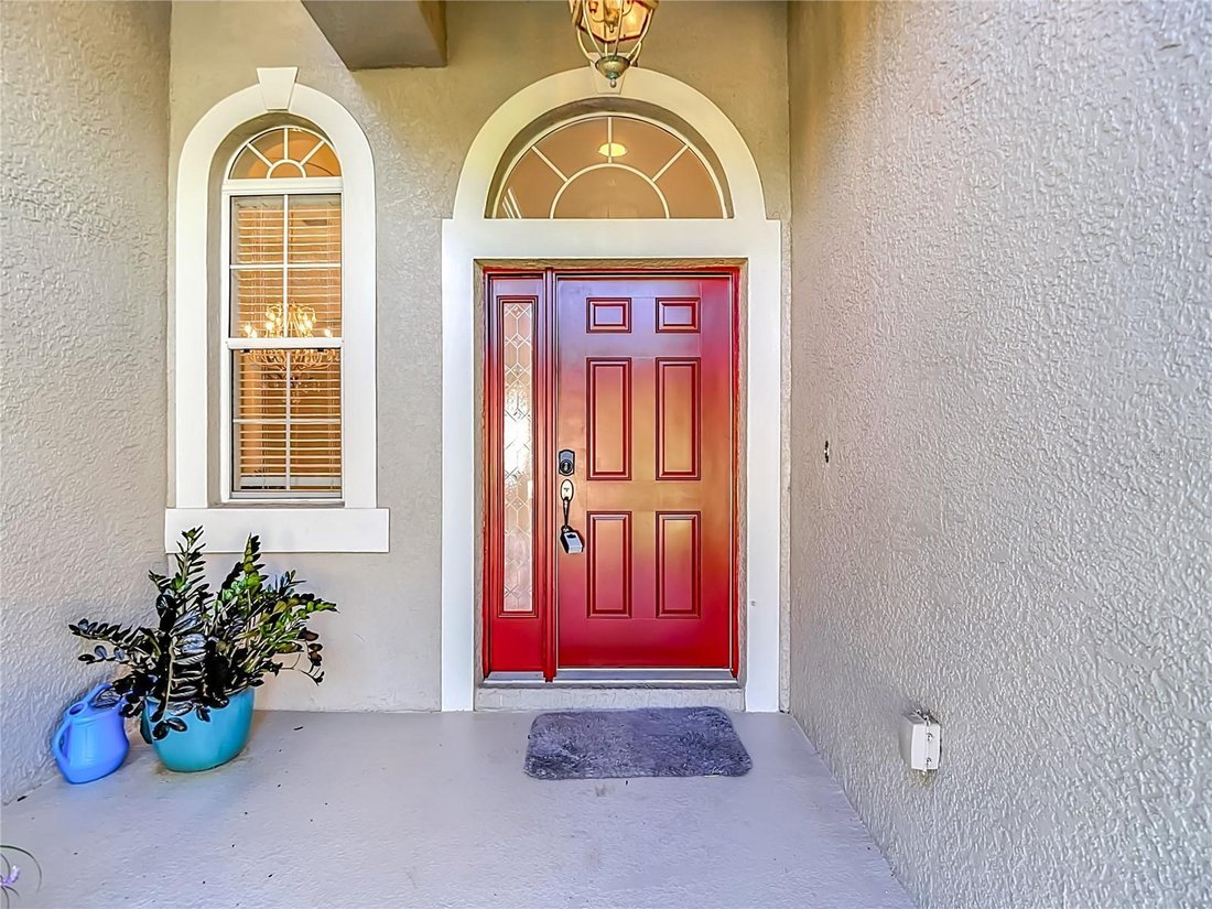 House in Odessa, Florida, United States 5 - 18669263