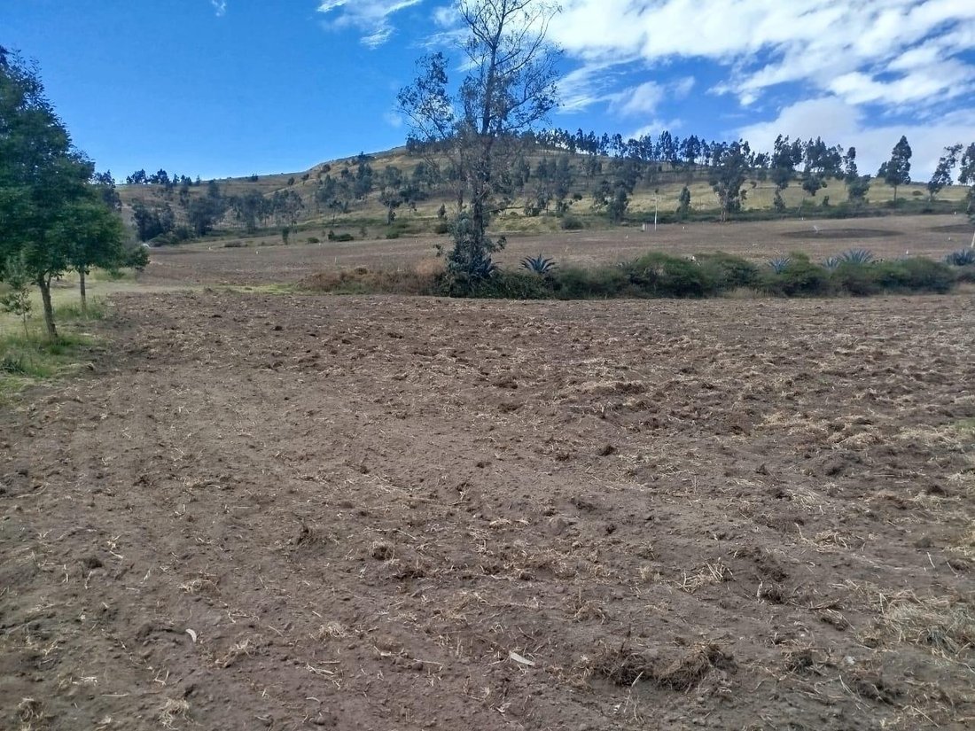 Land in Pambamarca, Pichincha, Ecuador 3 - 18661533