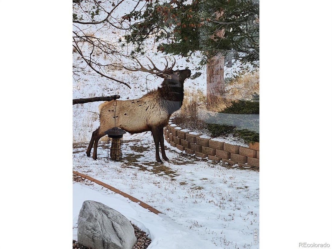 House in Berthoud, Colorado, United States 1 - 17822519