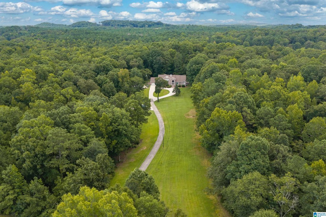 House in Pell City, Alabama, United States 1 - 18659754
