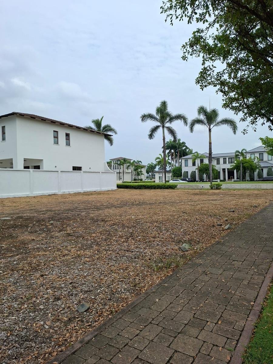 Land in Samborondón, Guayas, Ecuador 3 - 18661321