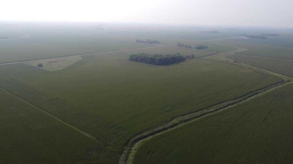 Land in Iona, Minnesota, United States 1 - 18670387