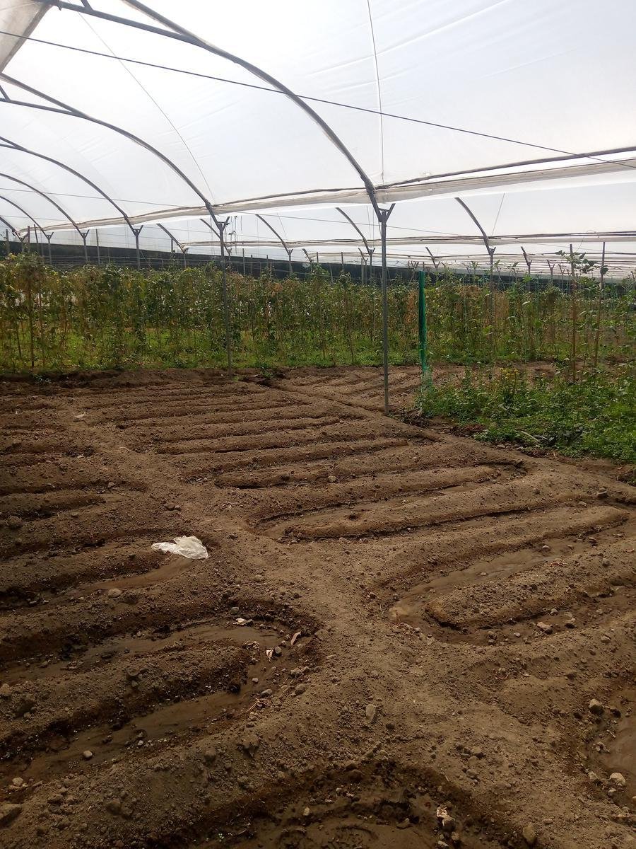 Land in Quito, Pichincha, Ecuador 5 - 18661496