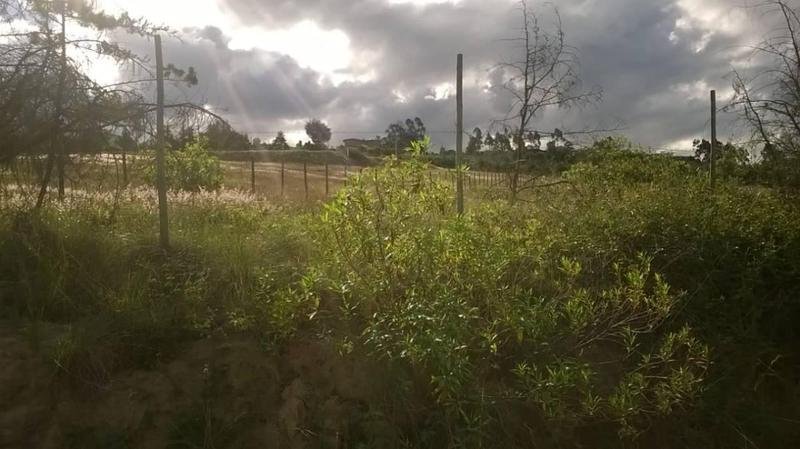 Land in Quito, Pichincha, Ecuador 1 - 18661411