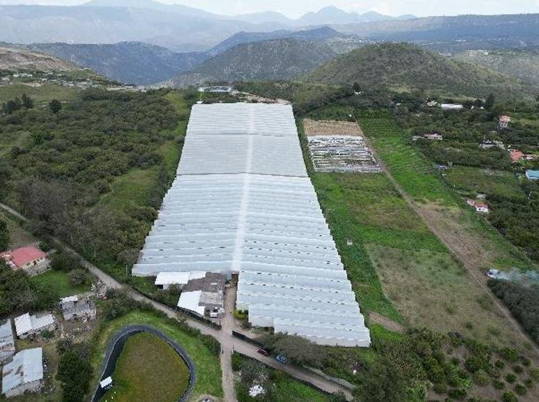Land in Quito, Pichincha, Ecuador 1 - 18661535