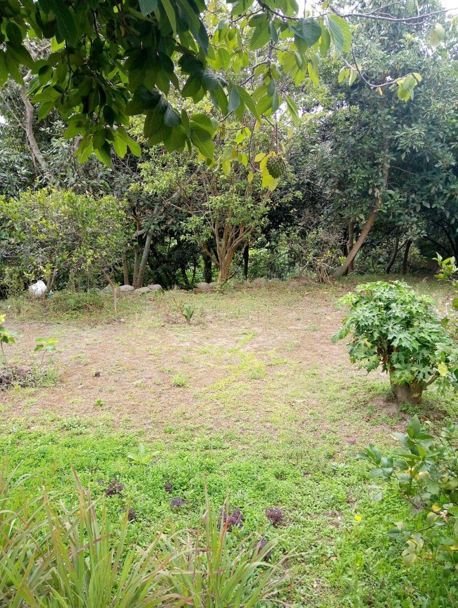 House in Quito, Pichincha, Ecuador 4 - 18661453