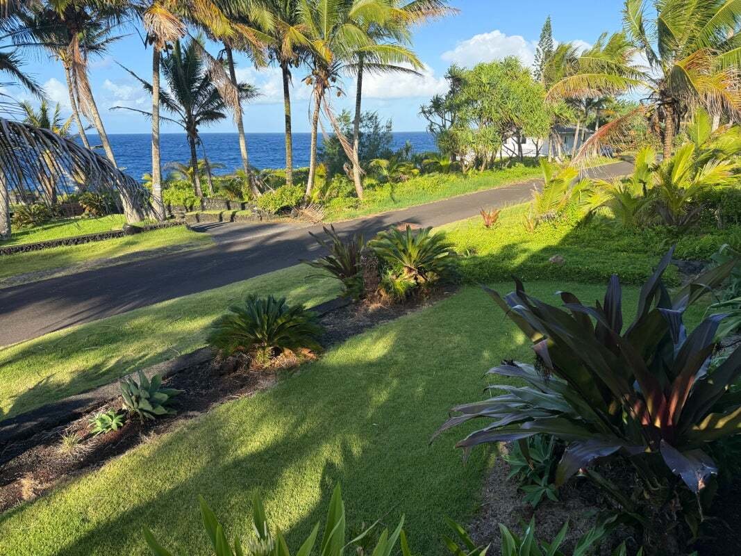 House in Volcano, Hawaii, United States 4 - 18662066