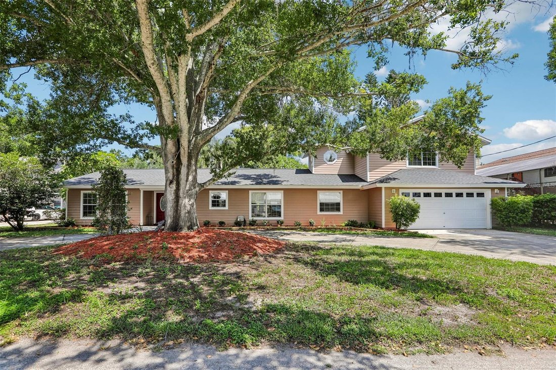 House in Palm Harbor, Florida, United States 1 - 18669268