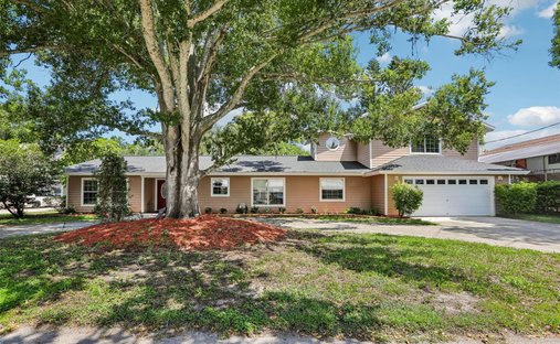 House in Palm Harbor, Florida, United States 1