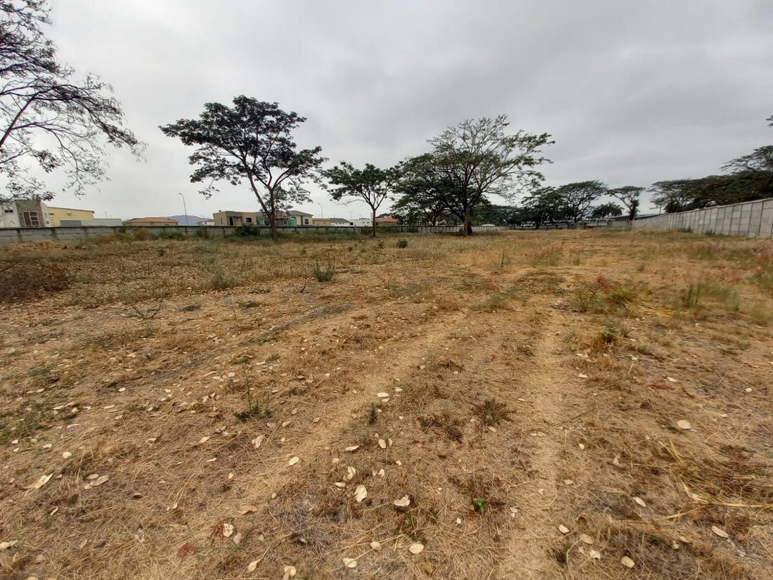 Land in Guayaquil, Guayas, Ecuador 3 - 18660303