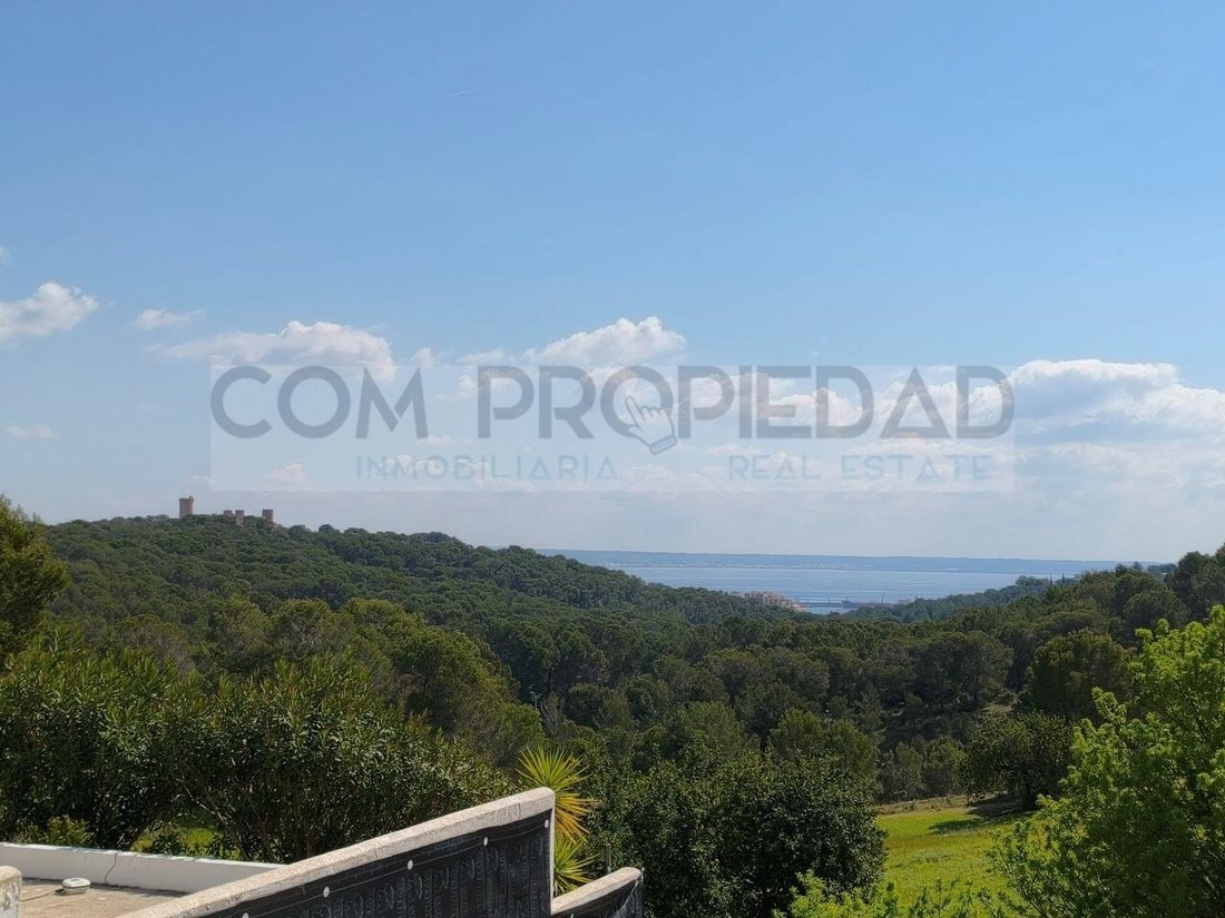 Land in Genoa, Palma, Balearic Islands 2 - 18660974