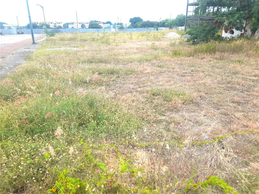 Land in Guayaquil, Guayas, Ecuador 5 - 18660127