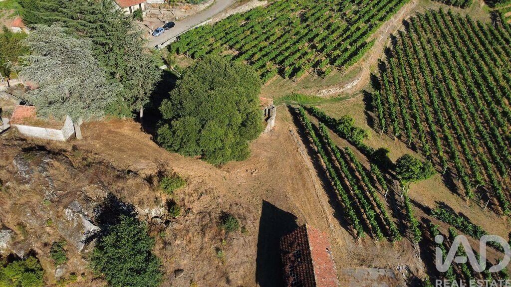 Farm Ranch in Figueiro (Santiago e Santa Cristina), Porto District, Portugal 5 - 18666845