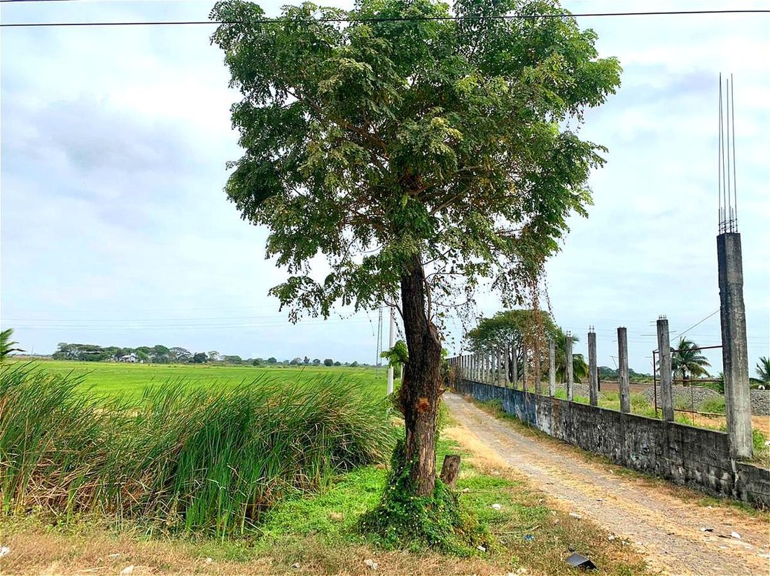 Land in Duran, Guayas, Ecuador 2 - 18660008