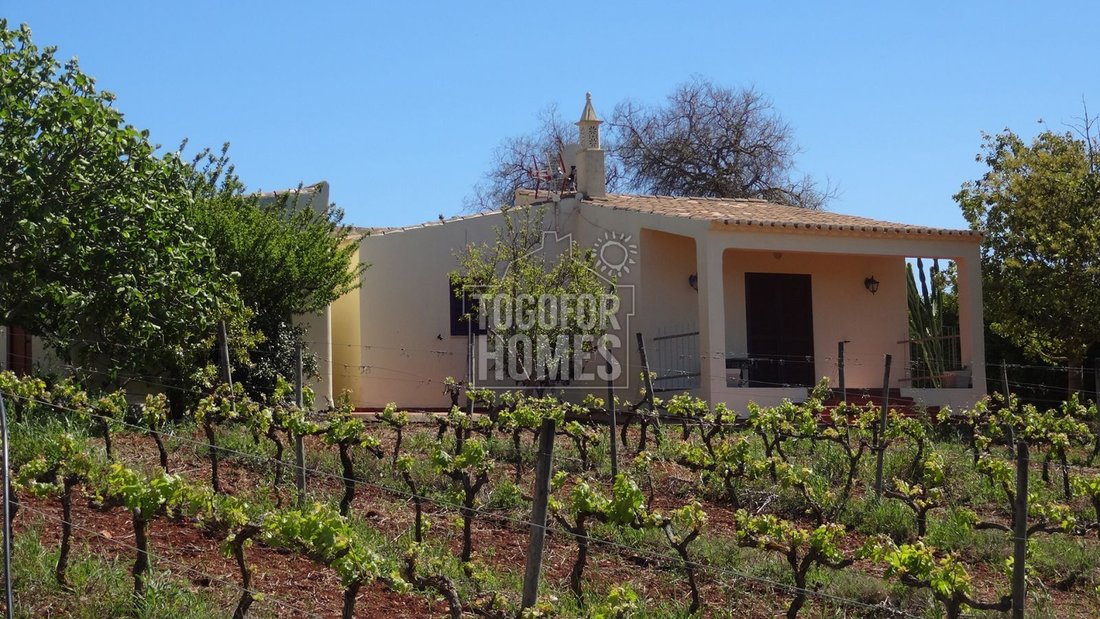 Estate in Praia da Luz, Algarve, Portugal 4 - 14697678