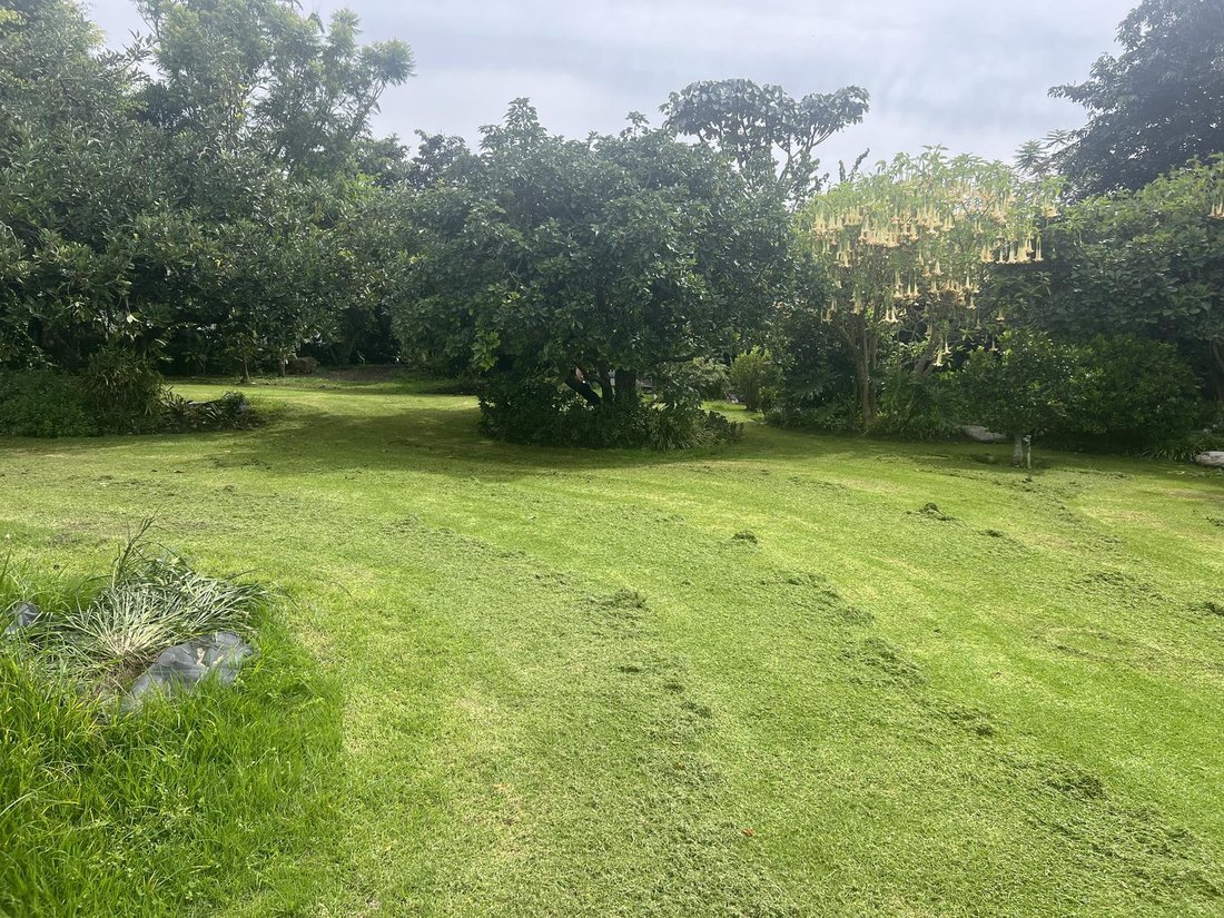 Land in Quito, Pichincha, Ecuador 1 - 18661677