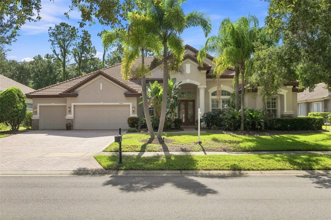 House in Palm Harbor, Florida, United States 1 - 18667753