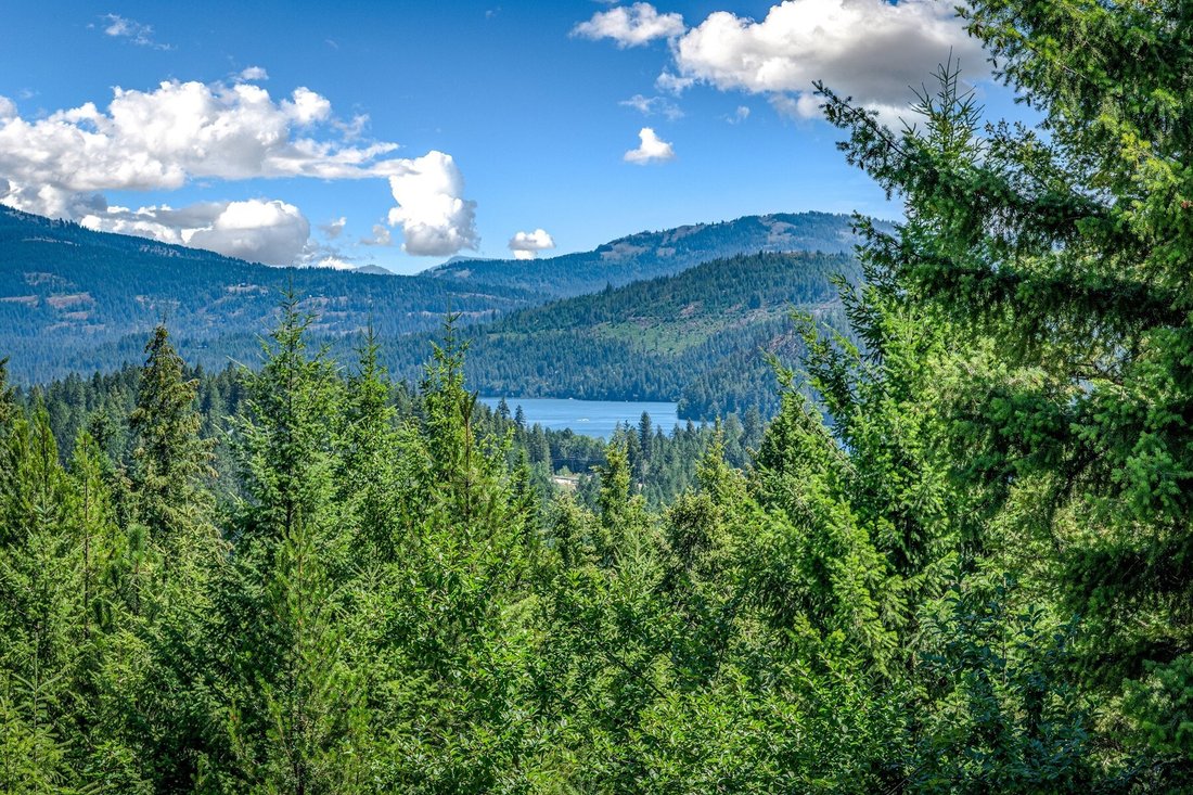 House in Sandpoint, Idaho, United States 3 - 18661263