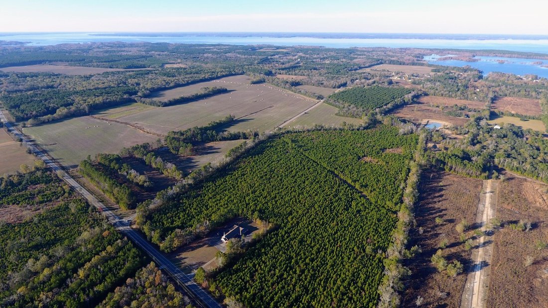 Land in Eutawville, South Carolina, United States 4 - 18670349